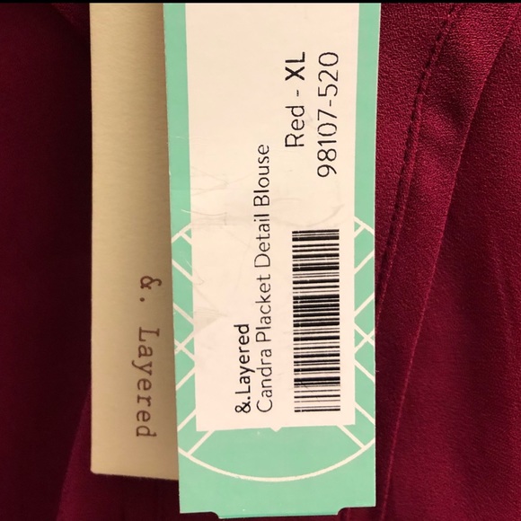 Chandra Placket Blouse - Picture 5 of 5